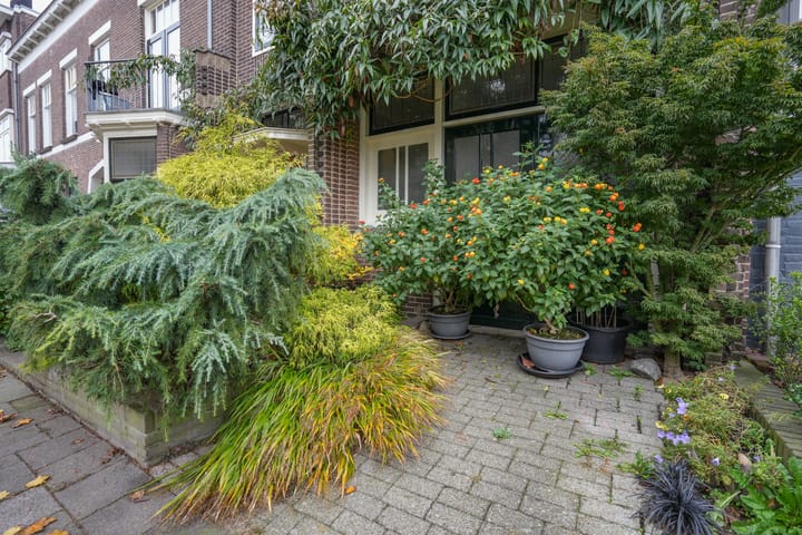 Foto 3 van Jan van Goyenstraat 11