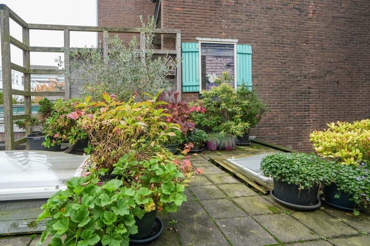 Foto 30 van Jan van Goyenstraat 11