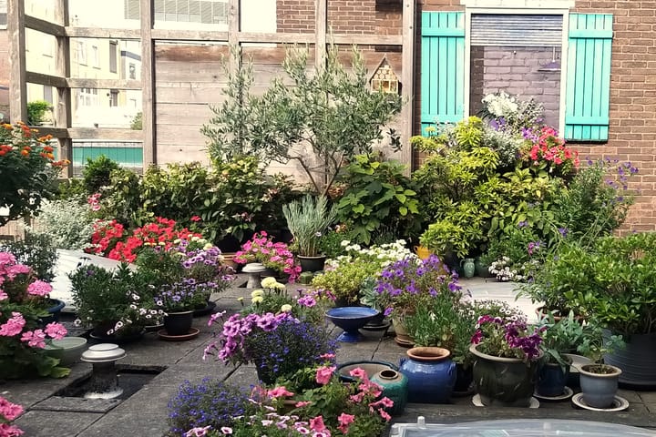 Foto 31 van Jan van Goyenstraat 11