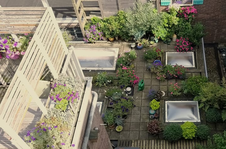 Foto 32 van Jan van Goyenstraat 11