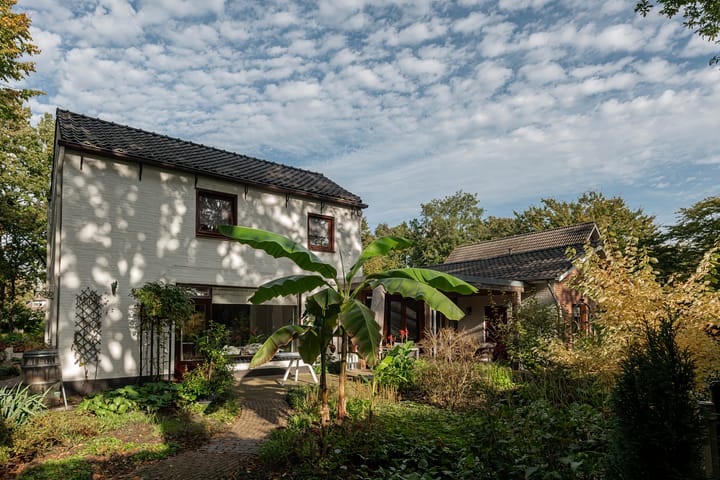 Foto 37 van Rijsenburgselaan 101