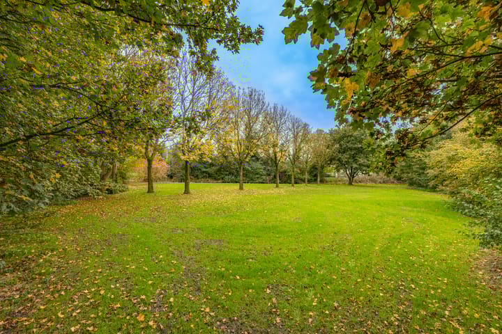 Foto 36 van Angolastraat 57