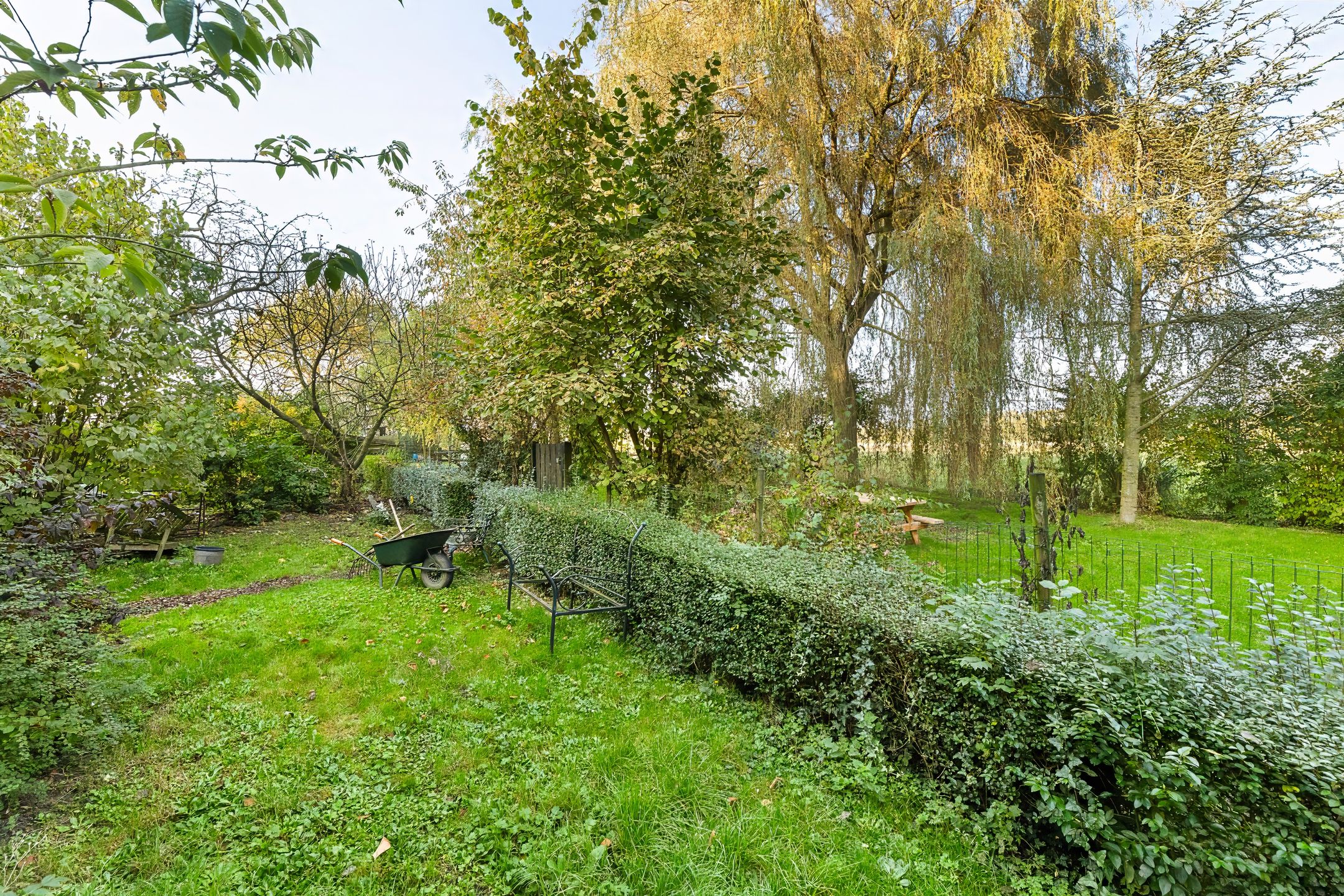 Foto 3 van Schroeweg 1