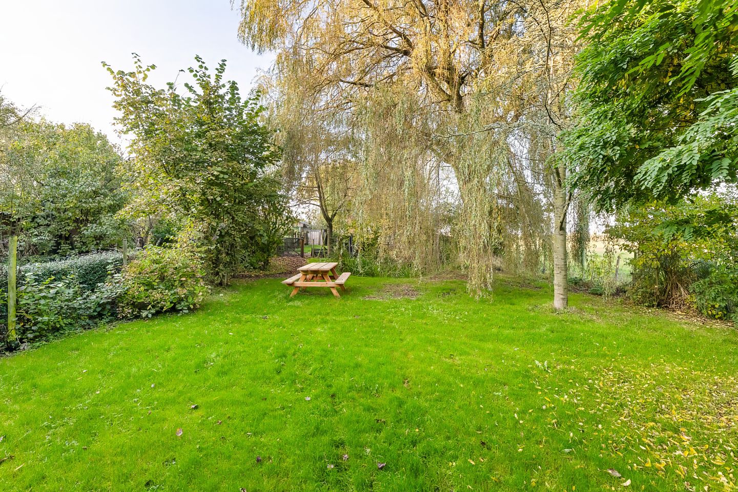 Foto 4 van Schroeweg 1