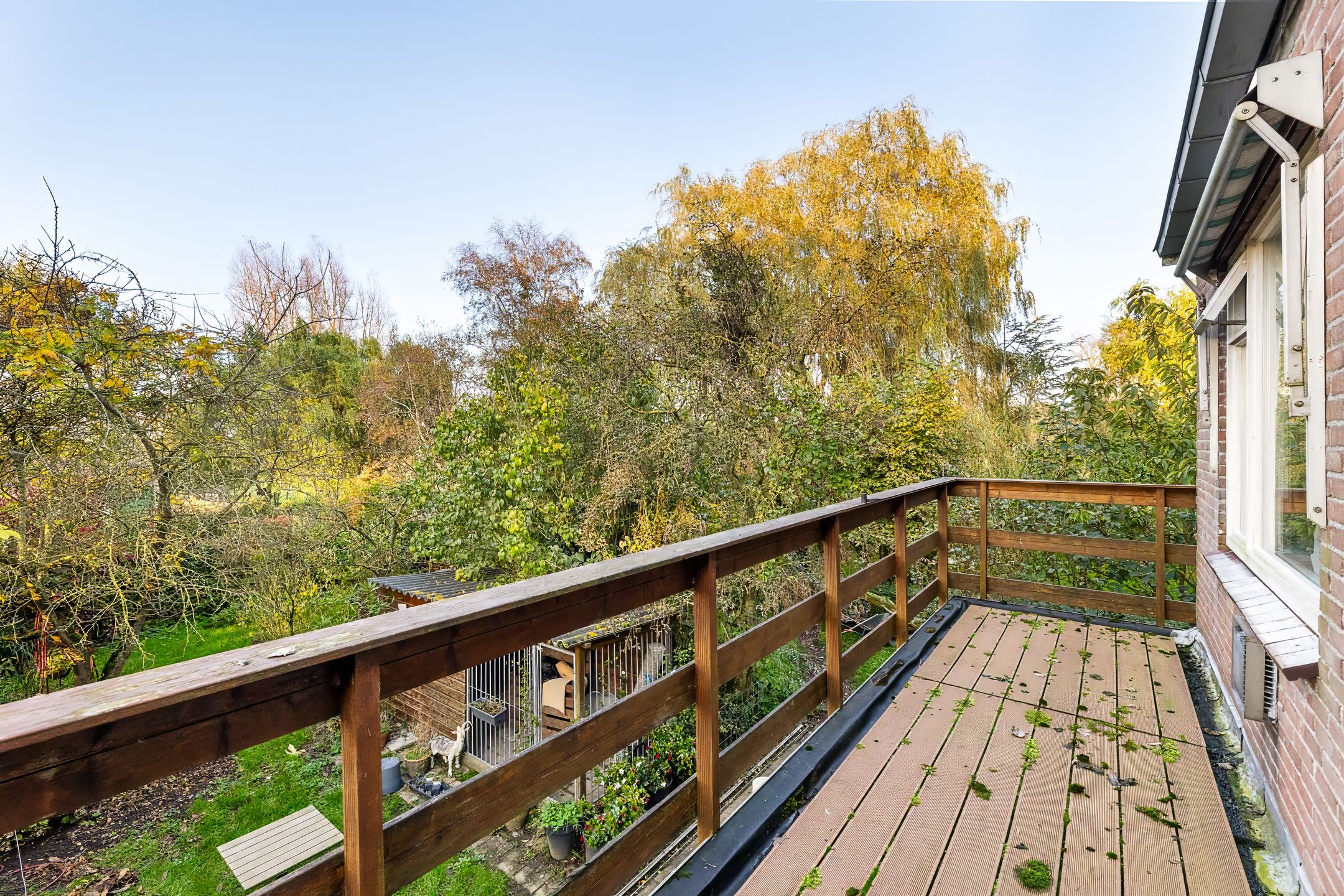 Foto 12 van Schroeweg 1