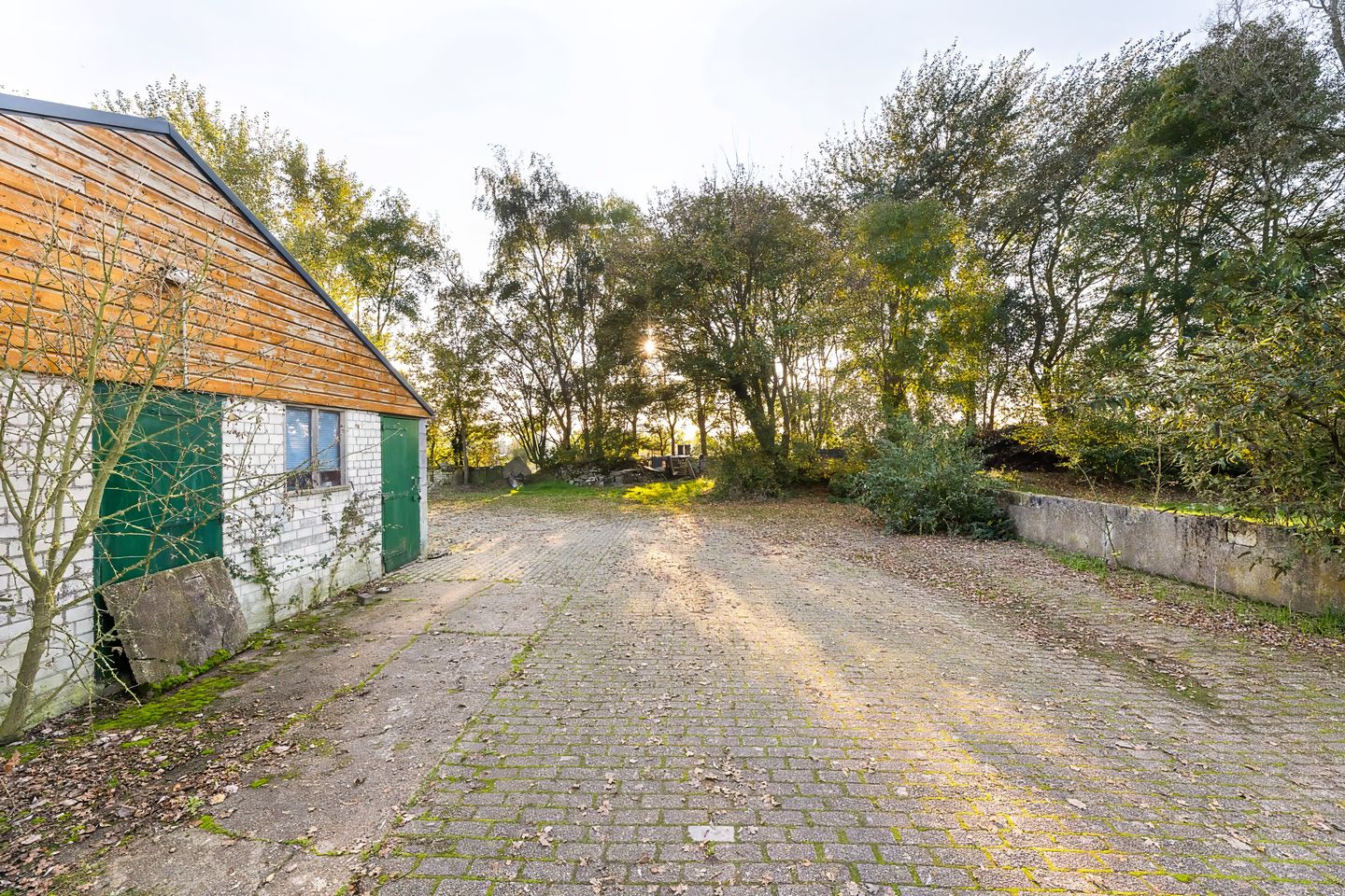 Foto 19 van Schroeweg 1