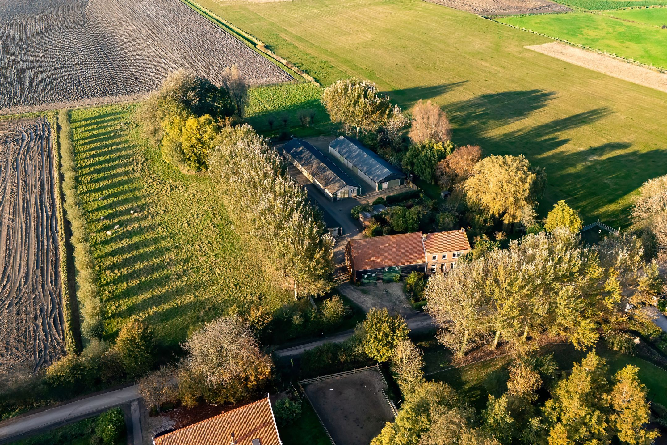 Foto 27 van Schroeweg 1