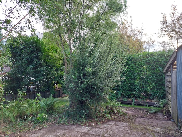 Foto 26 van 's-Gravenweg 785