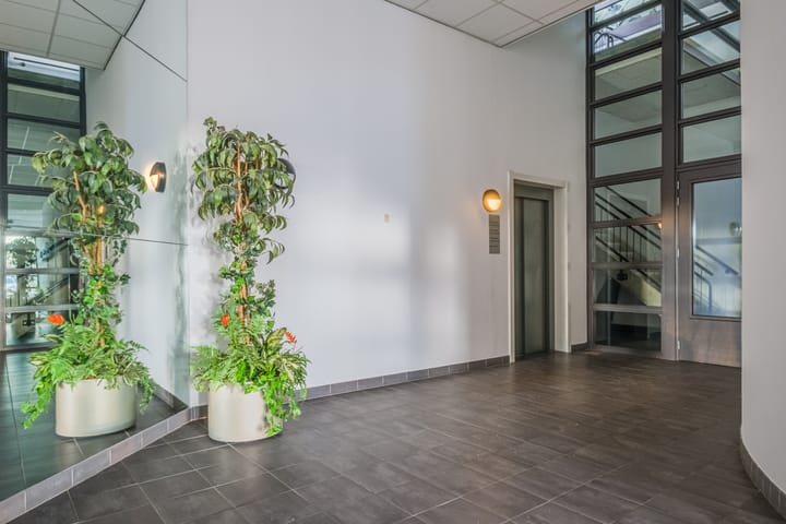 Foto 3 van Laan van Tolkien 240