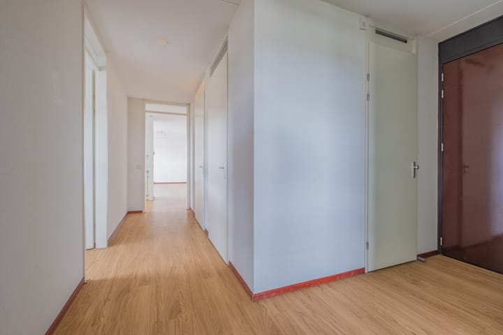 Foto 5 van Laan van Tolkien 240