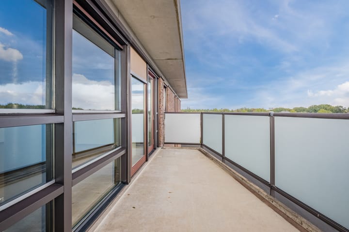 Foto 20 van Laan van Tolkien 240