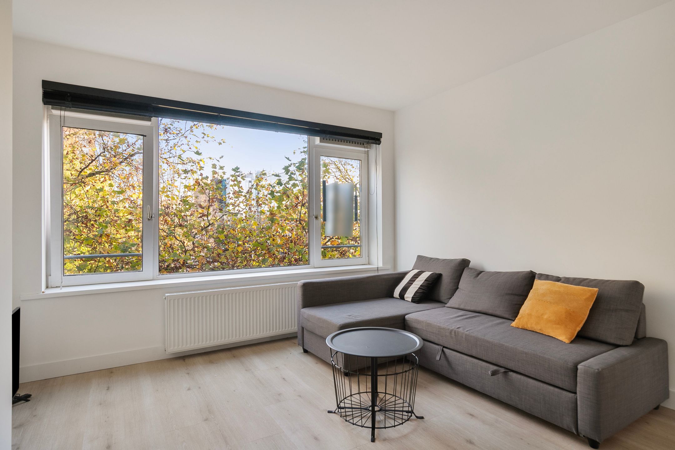 Foto 6 van Mijnsherenlaan 233-B