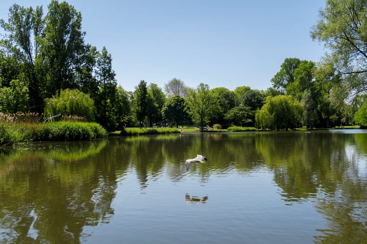 Foto 22 van Boerhaaveplein 2-4