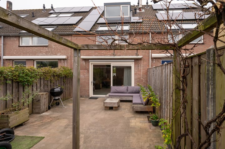 Foto 10 van Leverkruid 5