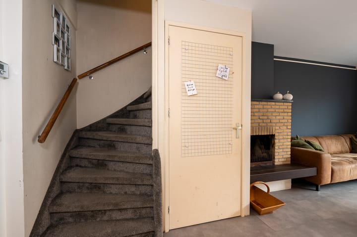 Foto 13 van Leverkruid 5