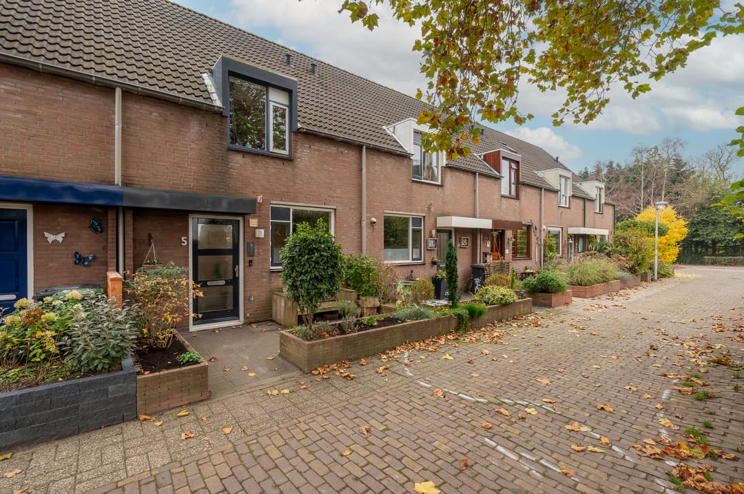 Photo 28 of Leverkruid 5