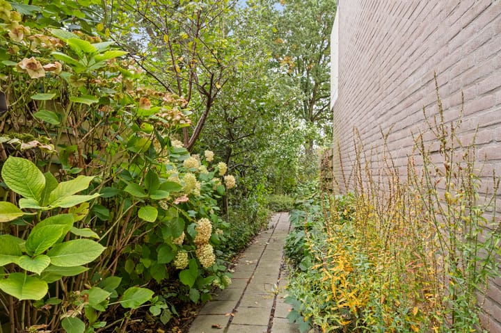 Foto 29 van Andijkstraat 1