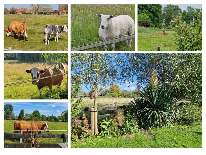 Photo 21 of Bogerdweg 6