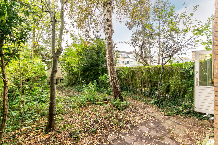 Foto 30 van Havikstraat 1