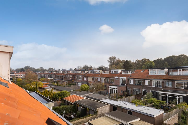 Foto 54 van Nassaulaan 54