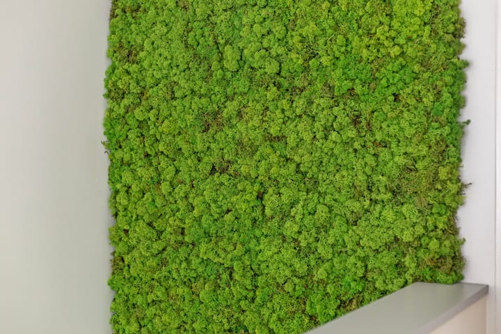 Foto 33 van Gulden 2