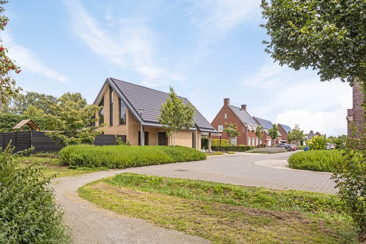 Foto 64 van Gulden 2