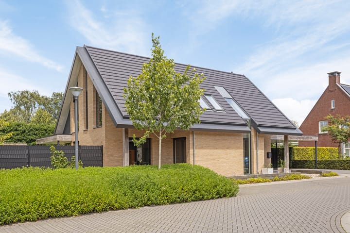 Foto 66 van Gulden 2