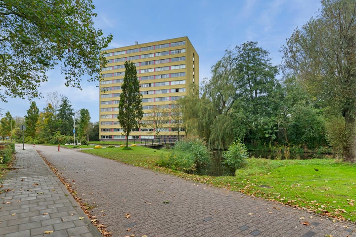 View photo of Boeierstraat 275