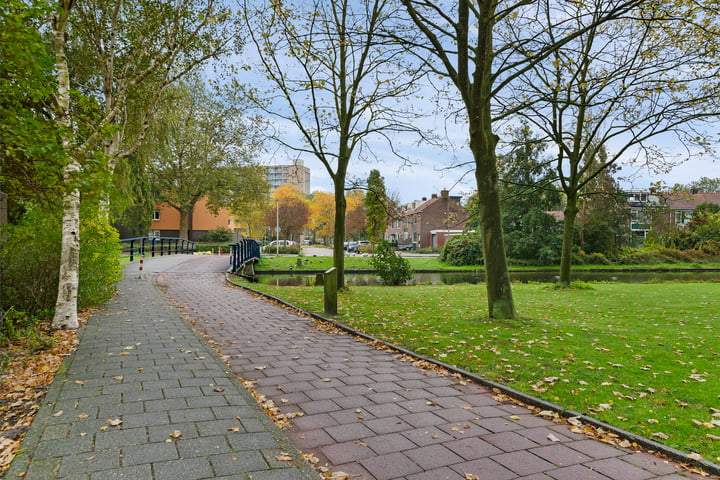 View photo 21 of Boeierstraat 275