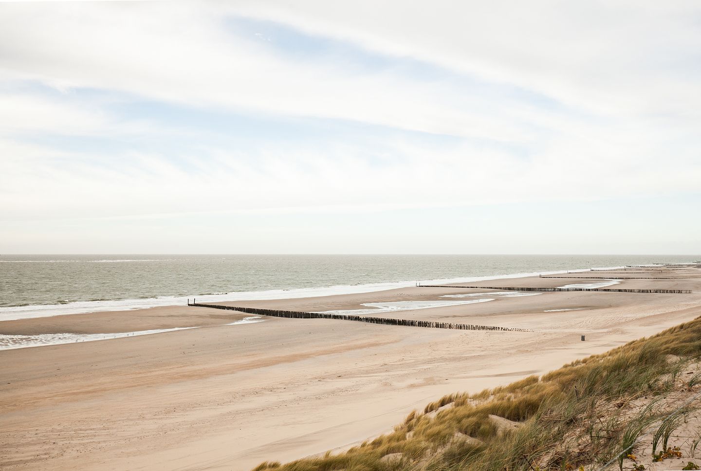 Foto 35 van D. Koddelaan 40