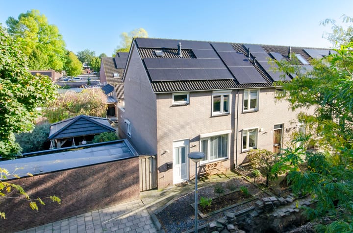 Foto 1 van Lepelaar 3