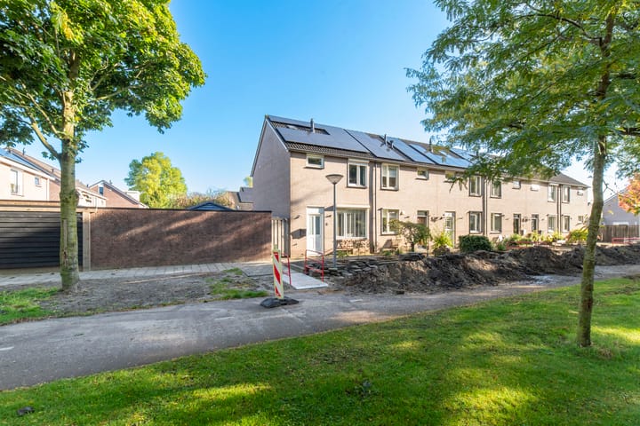 Foto 2 van Lepelaar 3