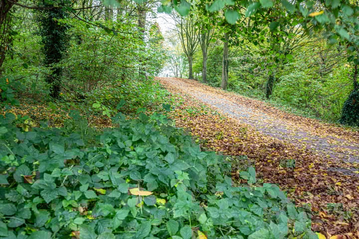 Foto 49 van Archipel 16 20