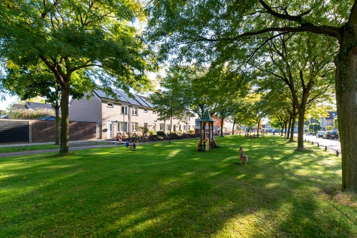 Foto 34 van Lepelaar 3