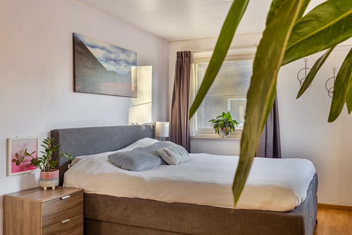 Foto 35 van Alexanderstraat 26