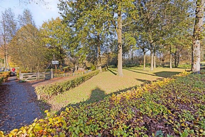 Foto 51 van Alexanderstraat 26