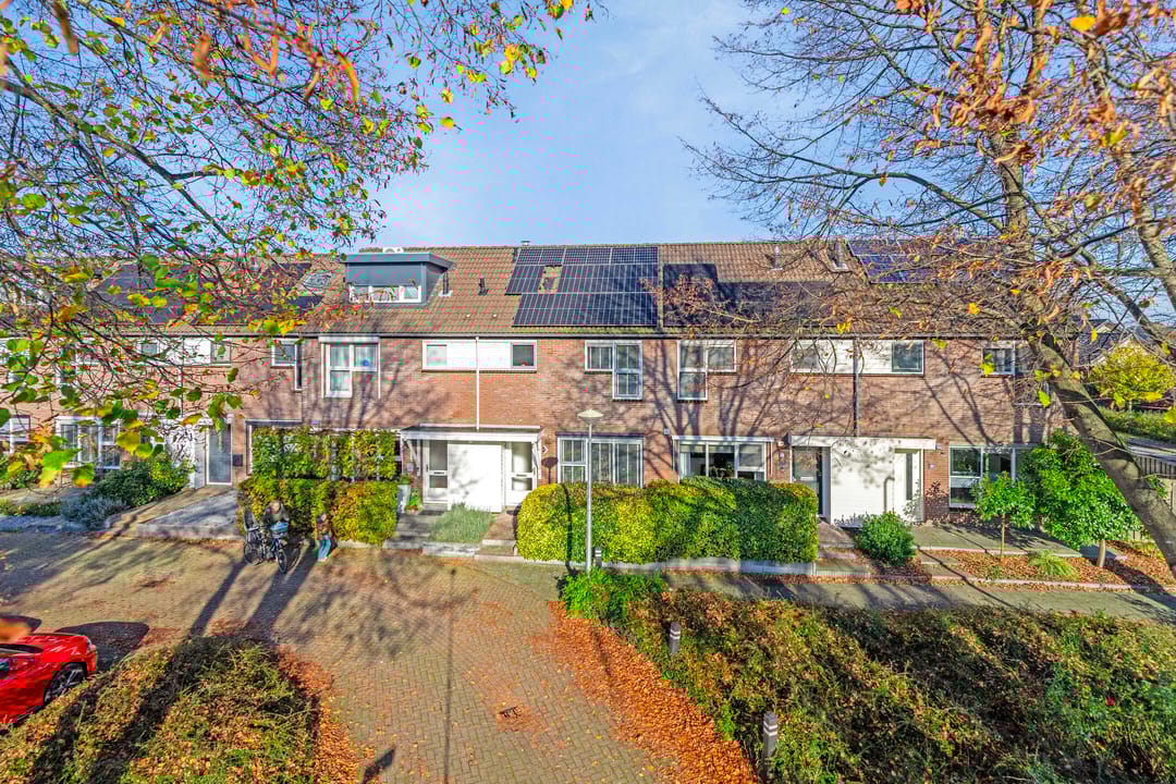 Photo 1 of Wollegras 11