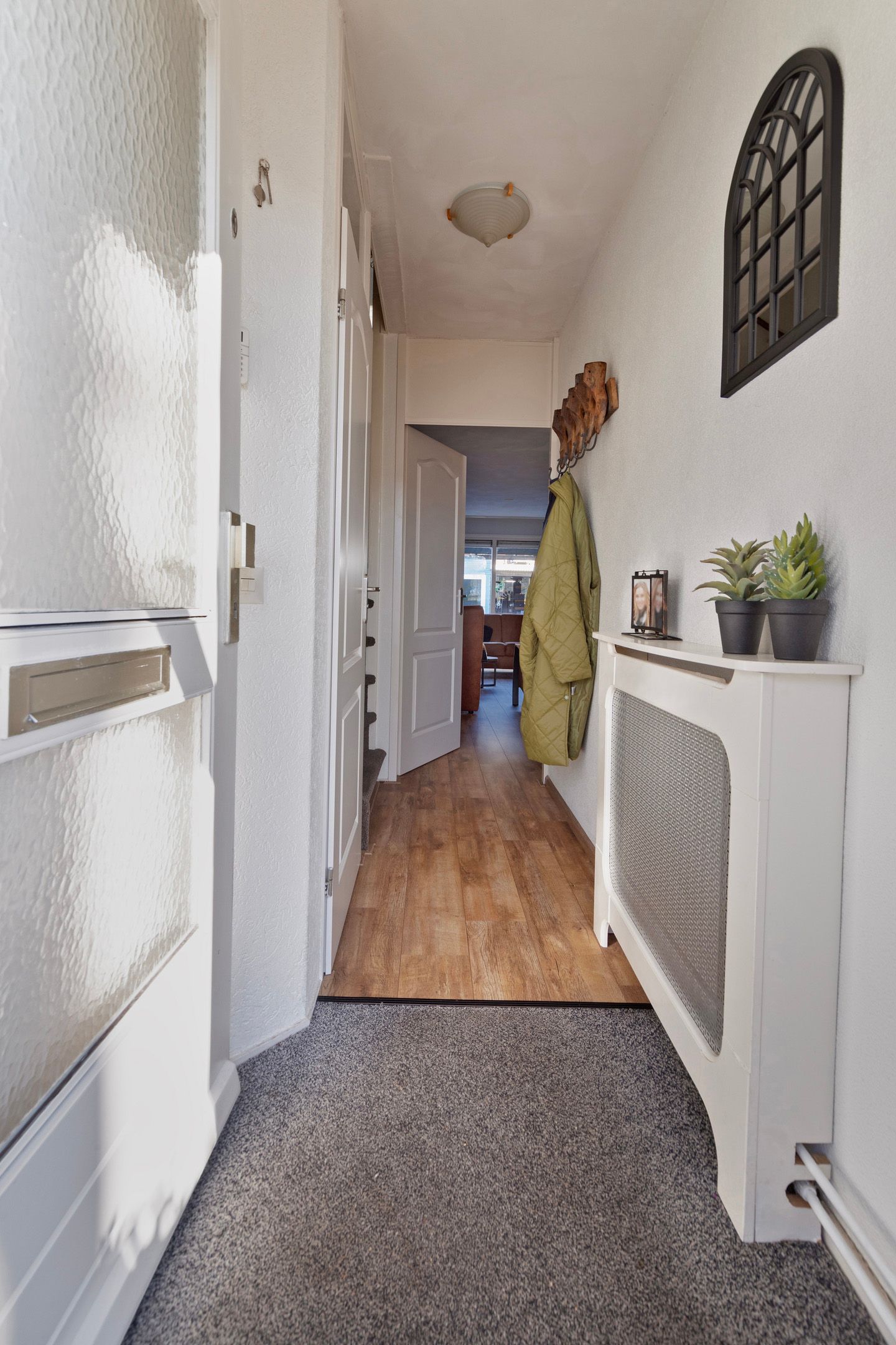 Photo 3 of Wollegras 11