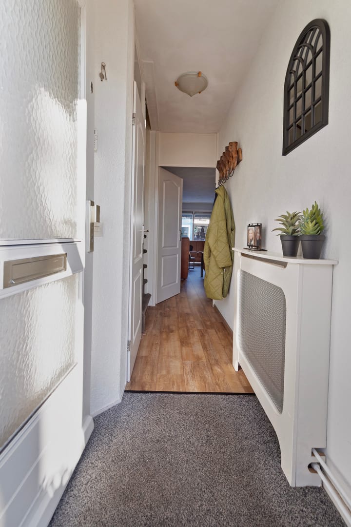 Foto 3 van Wollegras 11