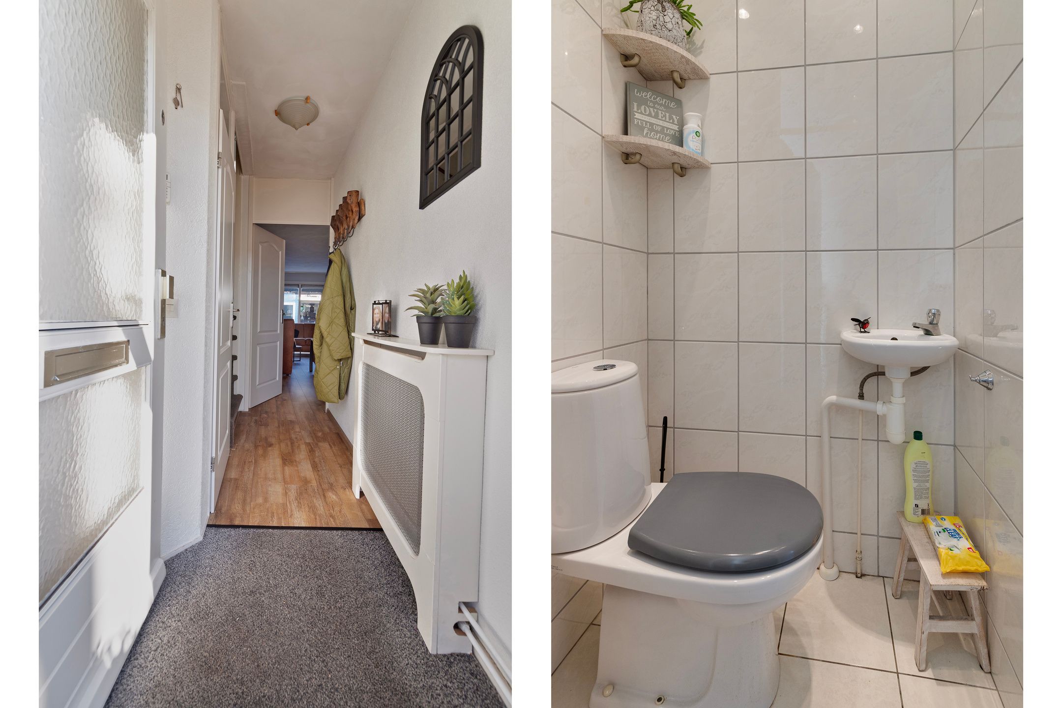 Photo 12 of Wollegras 11