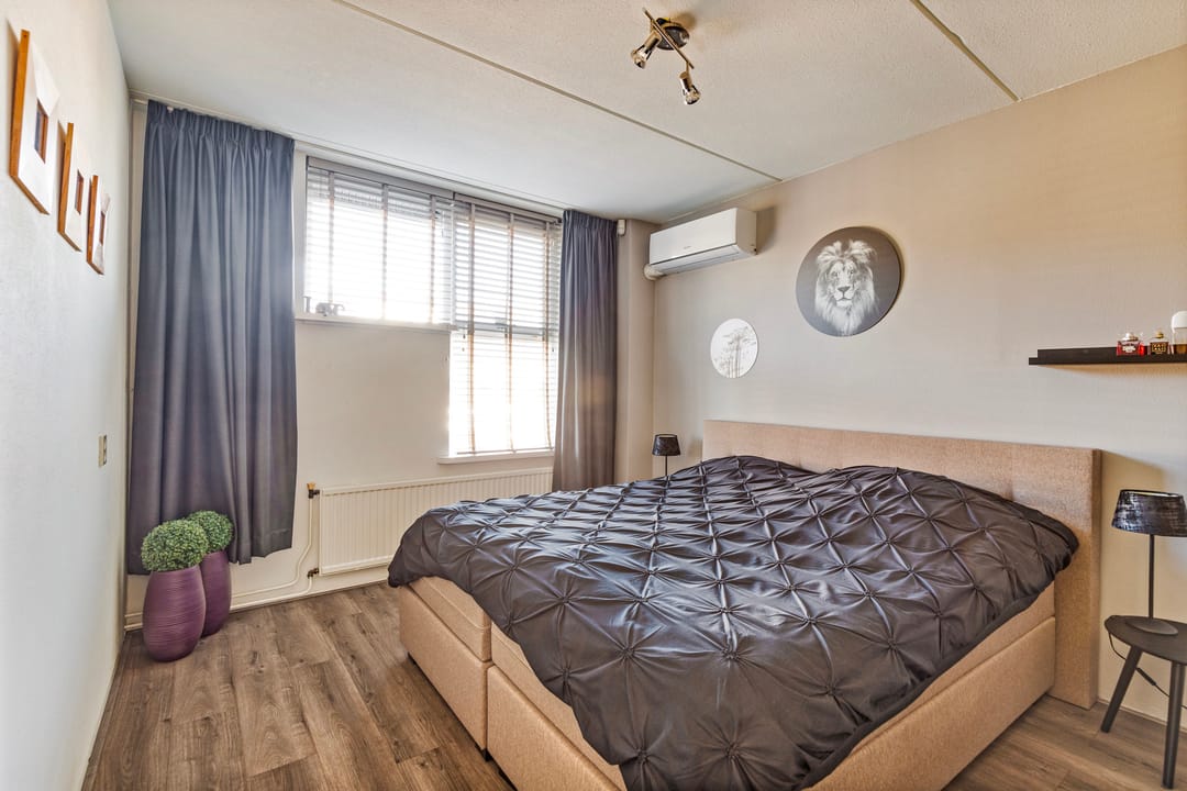 Photo 23 of Wollegras 11