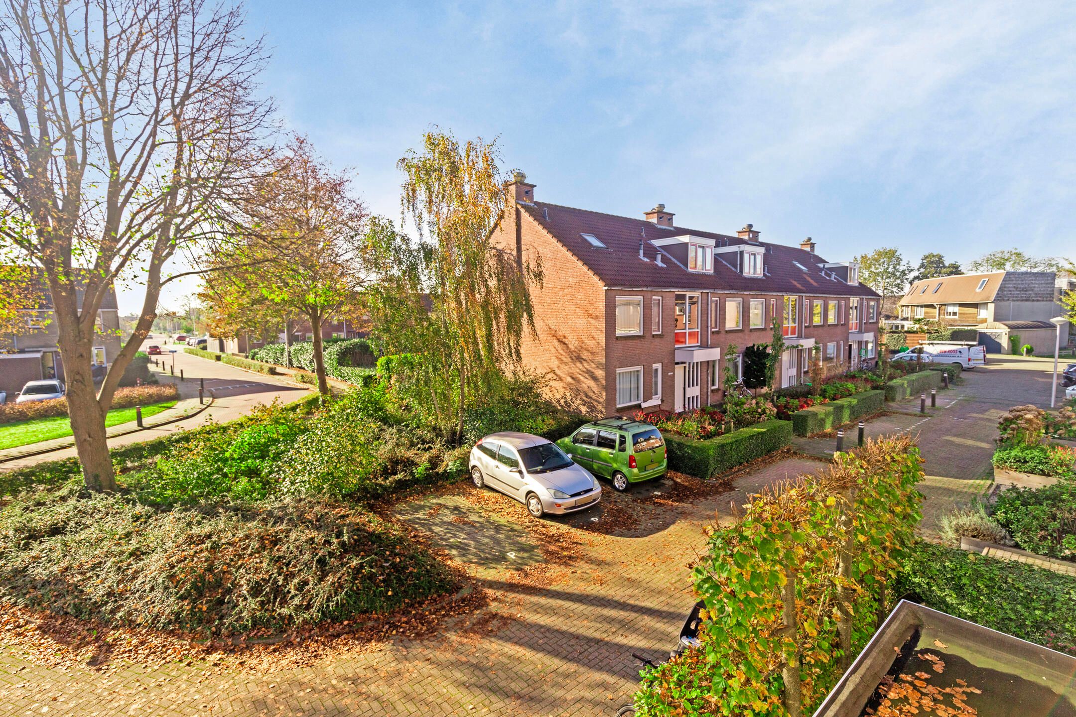 Photo 36 of Wollegras 11