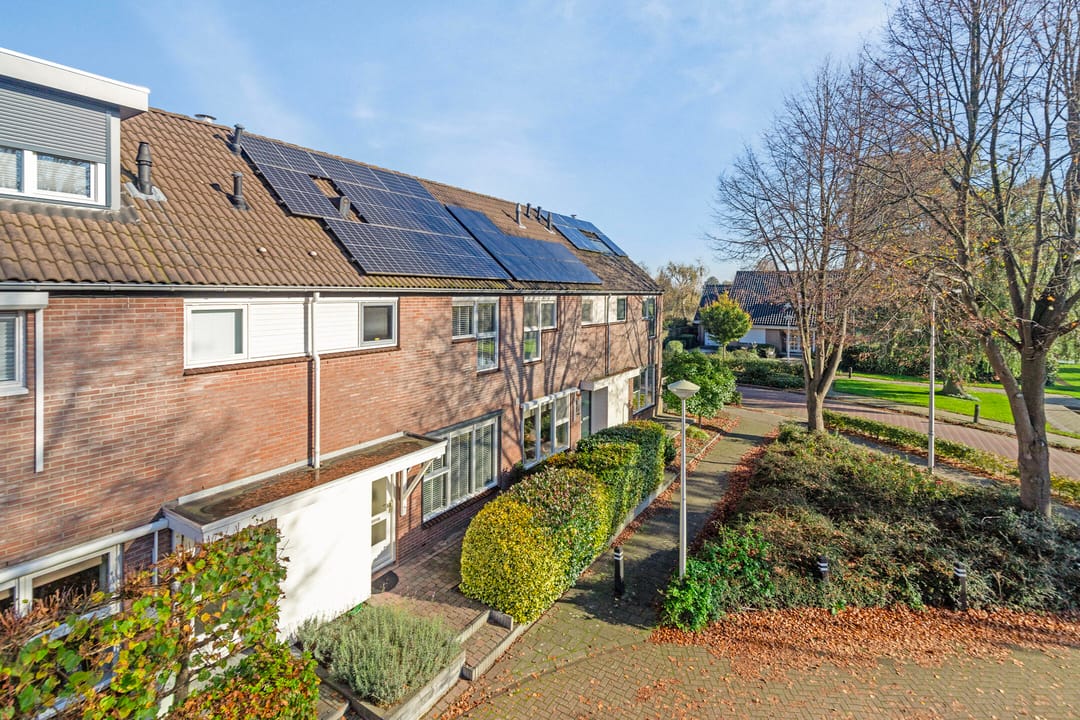 Photo 37 of Wollegras 11