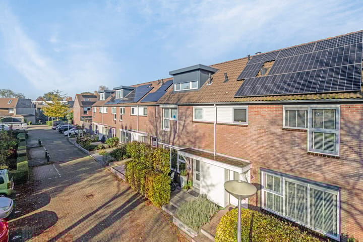 Foto 38 van Wollegras 11