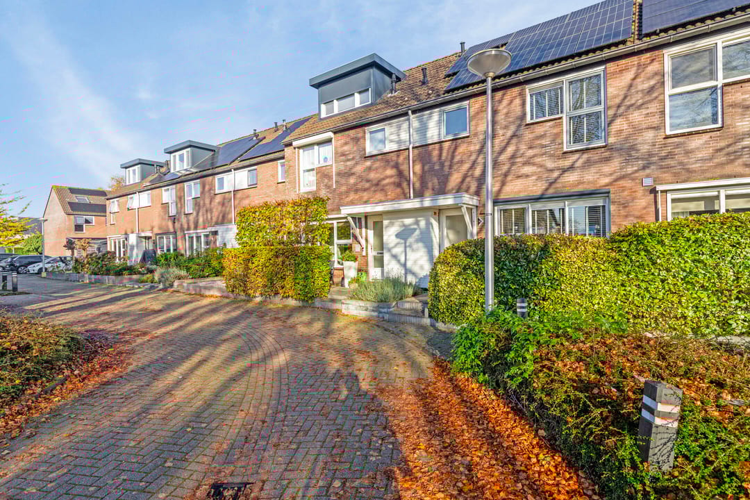 Photo 41 of Wollegras 11