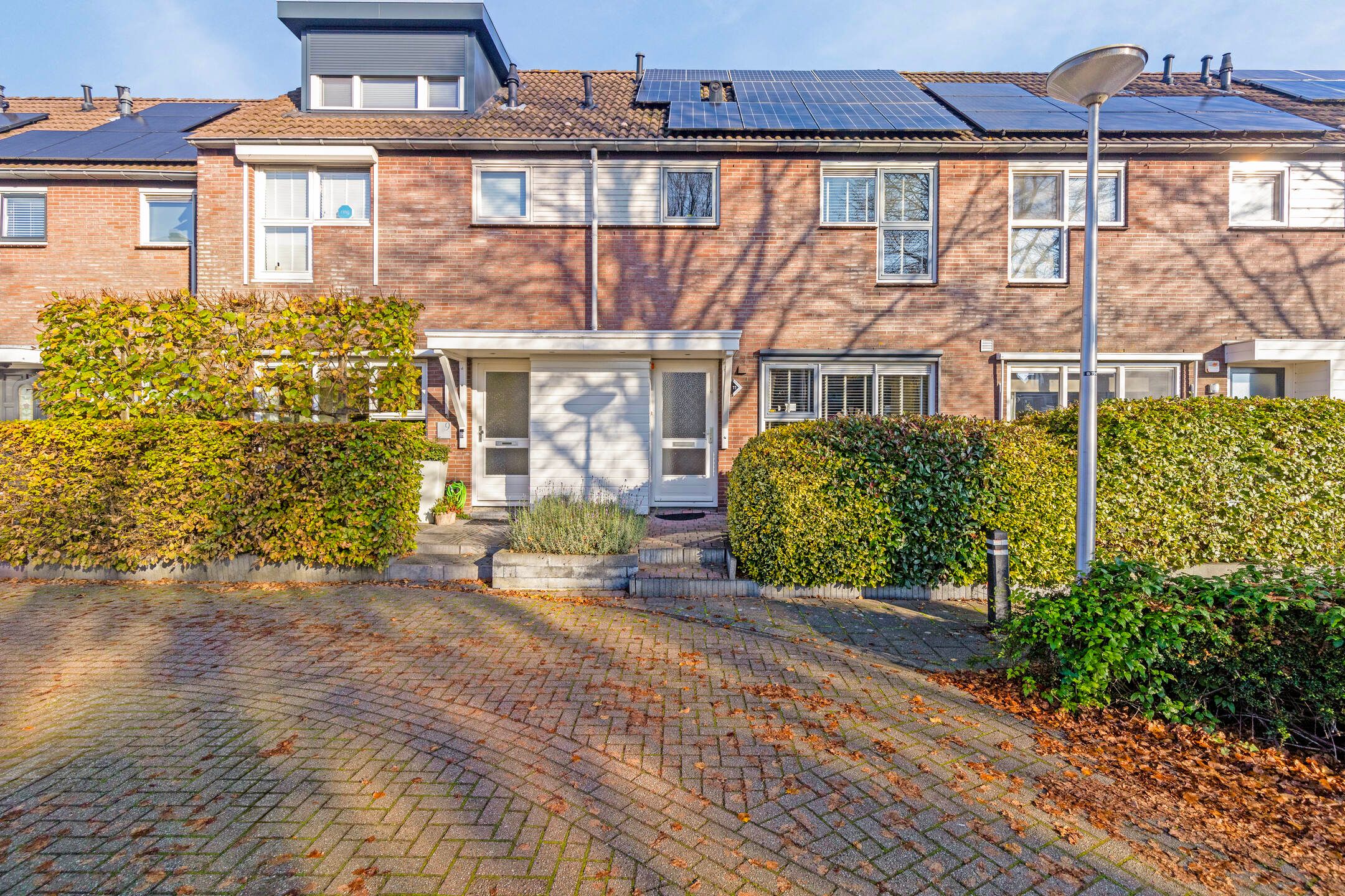 Photo 42 of Wollegras 11