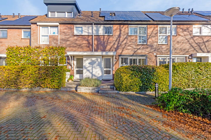 Foto 42 van Wollegras 11