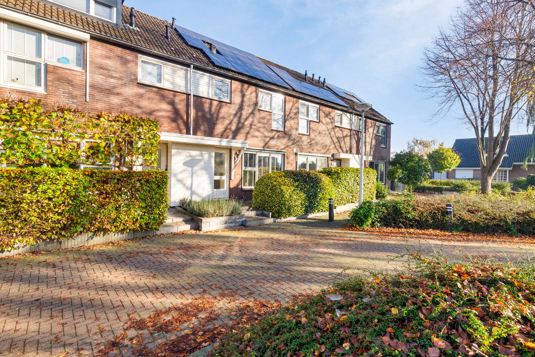 Photo 43 of Wollegras 11