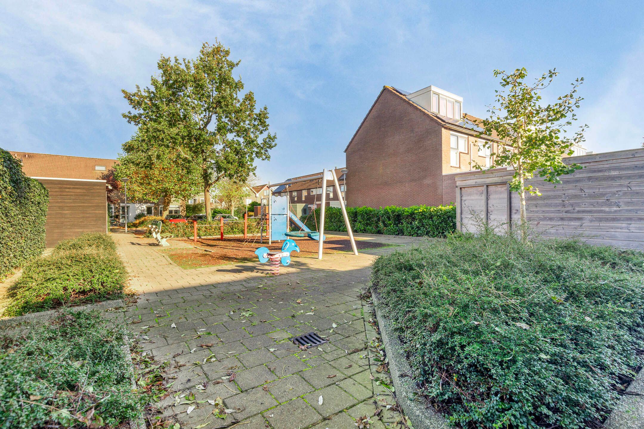 Photo 45 of Wollegras 11