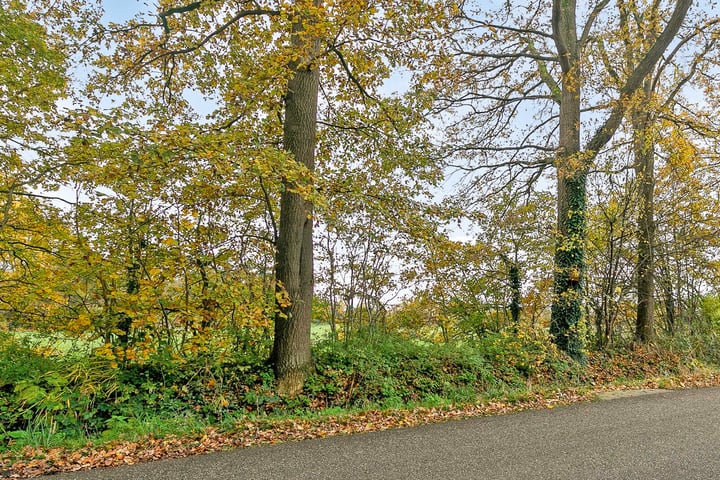 Bekijk foto 34 van Oude Deldenerweg 262